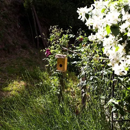 Apartman Casa Francesca #12
